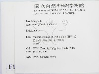 粉褶菌屬藏品圖，第2張