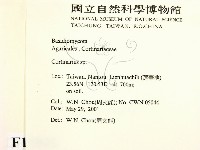 登錄號:F0015842藏品圖，第2張