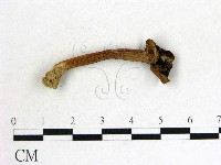 登錄號:F0015842藏品圖，第1張