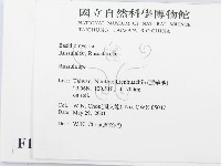 紅菇屬藏品圖，第2張