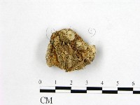 登錄號:F0015846藏品圖，第1張