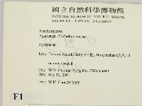 小菇屬藏品圖，第2張