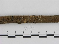 小菇屬藏品圖，第3張