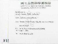 裂褶菌藏品圖，第2張