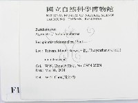 登錄號:F0015852藏品圖，第2張