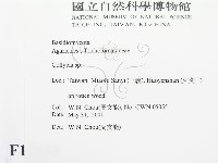 登錄號:F0015853藏品圖，第2張