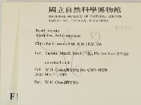 登錄號:F0015854藏品圖，第2張
