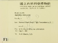 登錄號:F0015856藏品圖，第2張