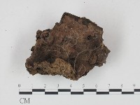 登錄號:F0015857藏品圖，第1張