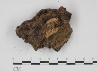 登錄號:F0015857藏品圖，第3張
