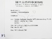 登錄號:F0015858藏品圖，第2張
