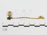 登錄號:F0015858藏品圖，第1張