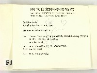 登錄號:F0015860藏品圖，第2張