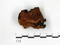 登錄號:F0015860藏品圖，第3張