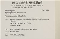 登錄號:F0015860藏品圖，第4張