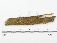 登錄號:F0015863藏品圖，第3張
