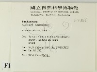 登錄號:F0015866藏品圖，第2張