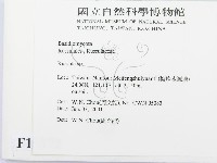 紅菇屬藏品圖，第2張