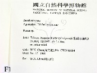 登錄號:F0015873藏品圖，第2張