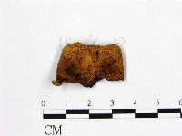 登錄號:F0015873藏品圖，第1張