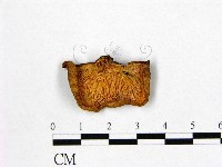 登錄號:F0015873藏品圖，第3張