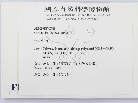 紅菇屬藏品圖，第2張