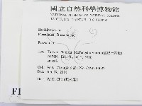 紅菇屬藏品圖，第2張