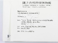 喇叭菌屬藏品圖，第2張