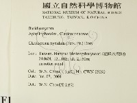 登錄號:F0015878藏品圖，第2張