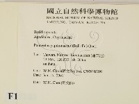 登錄號:F0015881藏品圖，第2張