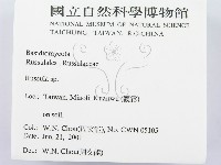 紅菇屬藏品圖，第2張