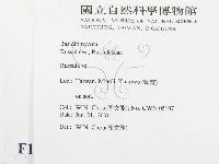 紅菇屬藏品圖，第2張