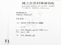 登錄號:F0015896藏品圖，第2張