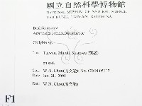 登錄號:F0015898藏品圖，第2張