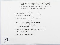 登錄號:F0015899藏品圖，第2張