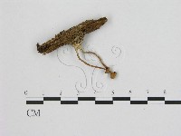 登錄號:F0015900藏品圖，第1張