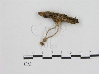 登錄號:F0015900藏品圖，第3張