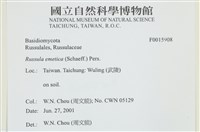 登錄號:F0015908藏品圖，第4張