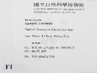 登錄號:F0015910藏品圖，第2張