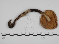 登錄號:F0015912藏品圖，第3張