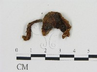 登錄號:F0015913藏品圖，第3張