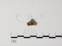 登錄號:F0015915藏品圖，第3張