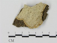 登錄號:F0015921藏品圖，第1張
