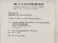 登錄號:F0015922藏品圖，第2張