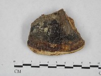 登錄號:F0015922藏品圖，第1張