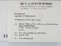 登錄號:F0015924藏品圖，第2張