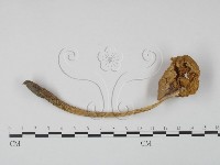 登錄號:F0015924藏品圖，第3張