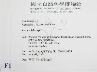 微皮傘屬藏品圖，第2張