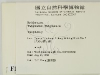 革菌屬藏品圖，第2張