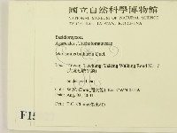 登錄號:F0015927藏品圖，第2張